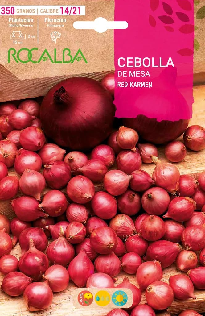 Semilla Bulbo Cebolla Roja Comred Calibre 14/21 350 Gramos — foto principal