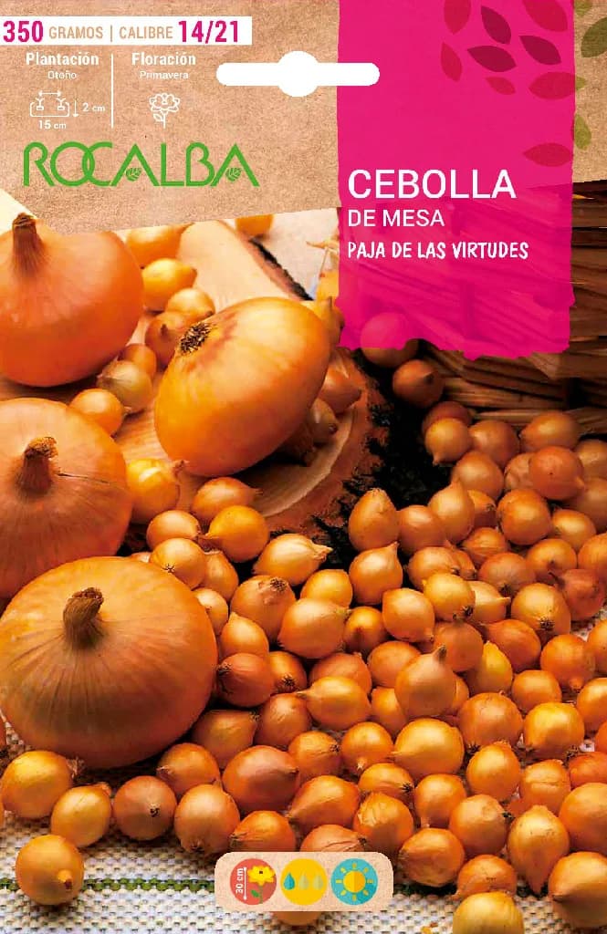Semilla Bulbo Cebolla Paja Virtudes Calibre 14/21 350 Gramos — foto principal