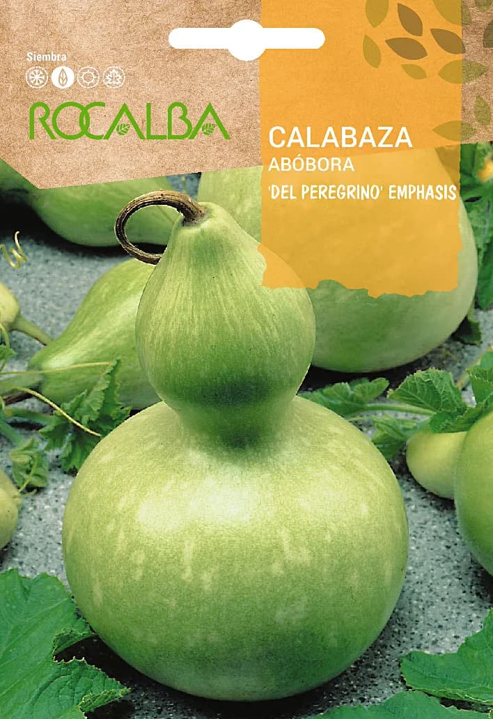 Semilla Calabaza del Peregrino 5 gr — foto principal