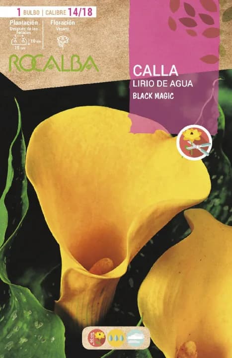 Bulbo Callas 14/18 Black Magic Amarillo — foto principal