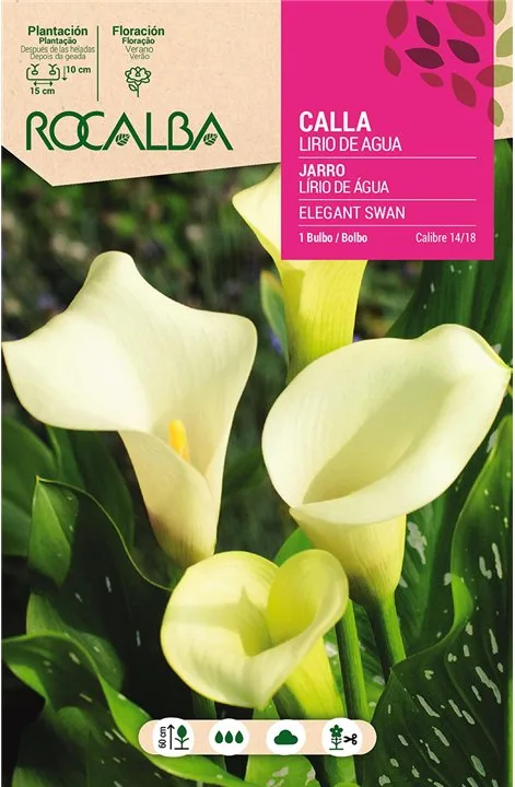 Bulbo Callas 14/18 Elegant Swan Blanco — foto principal