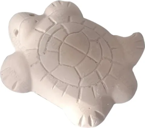 Calcio Tortugas Specipez — foto principal