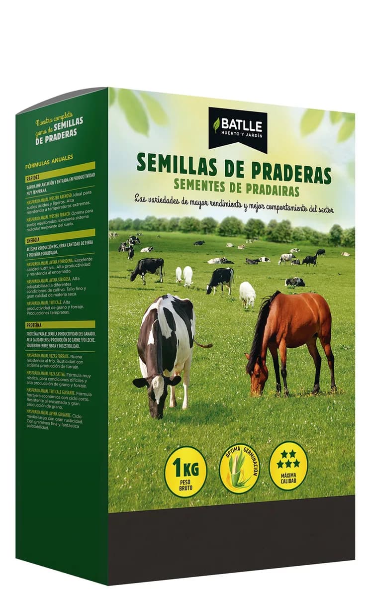 Semilla Ray Grass Ingles 1 kg — foto principal