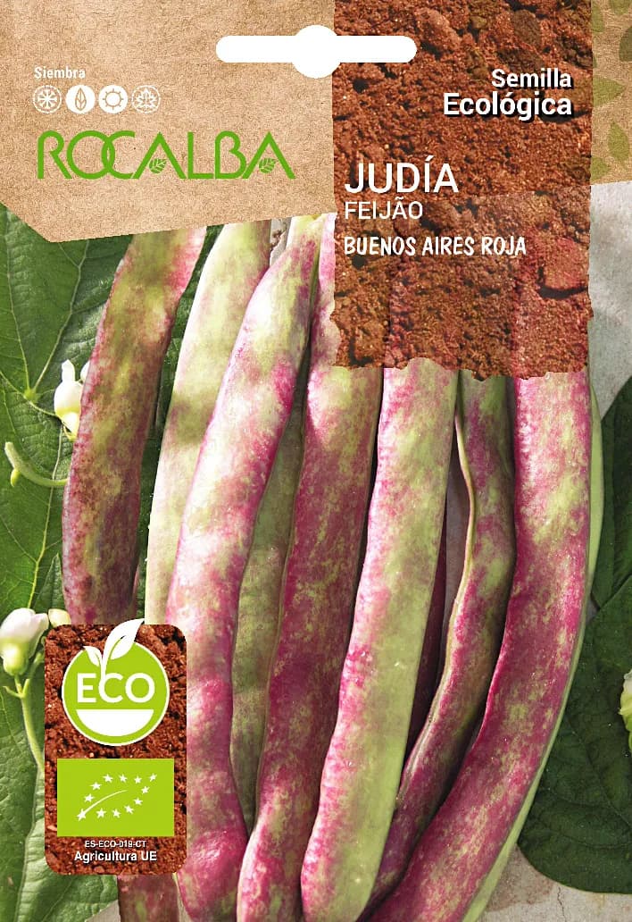 Semilla Ecologica Judia Buenos Aires Roja — foto principal