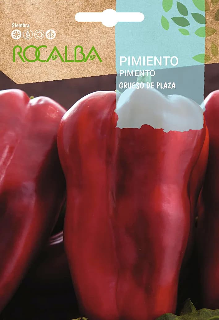 Semilla Pimiento Grueso de Plaza — foto principal