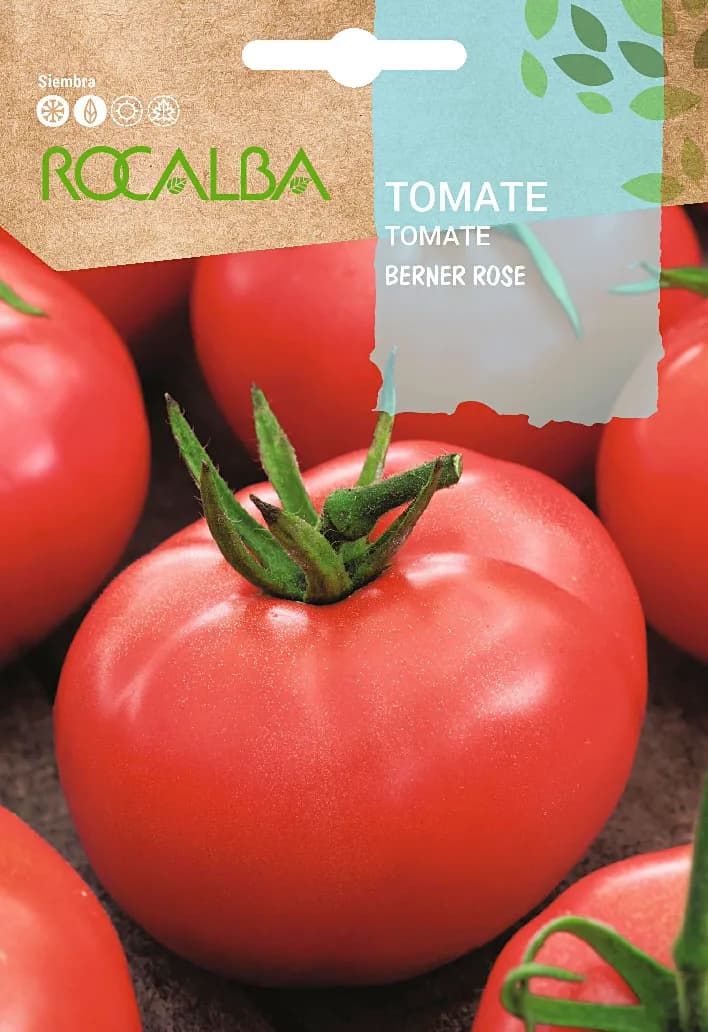 Semilla Tomate Rosa de Berna — foto principal
