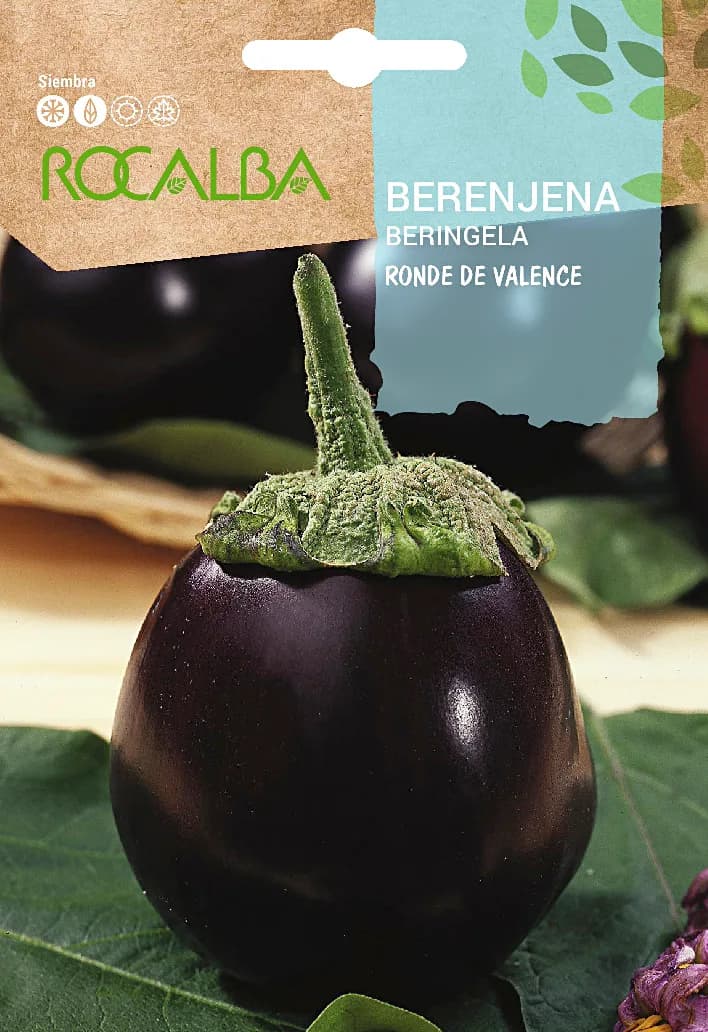 Semilla Berenjena Ronde de Valence — foto principal