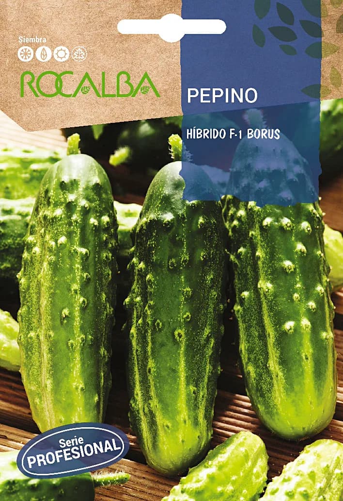 Semilla Profesional Pepino Borus F-1 — foto principal