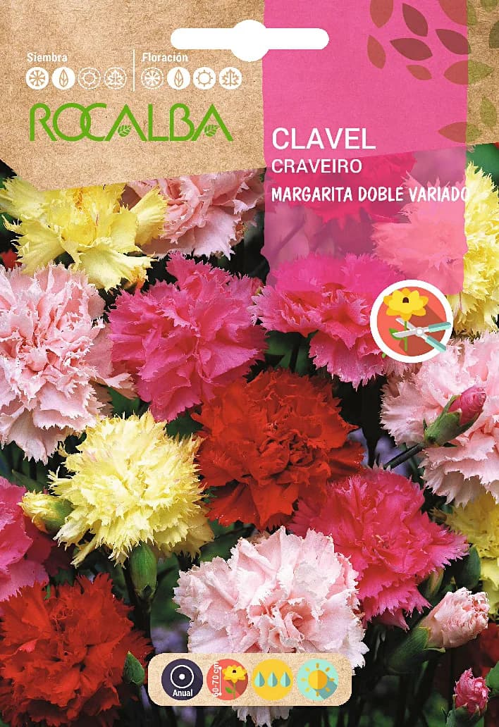 Semilla Clavel Margarita Doble, Variado — foto principal
