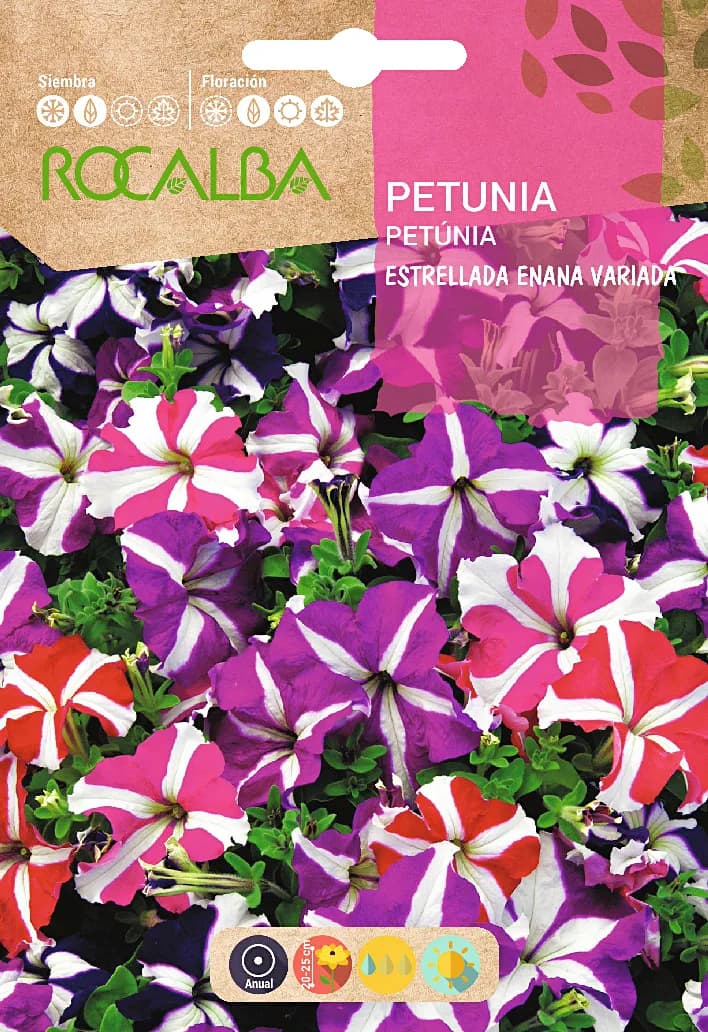 Semilla Petunia Estrellada Enana, Variada — foto principal