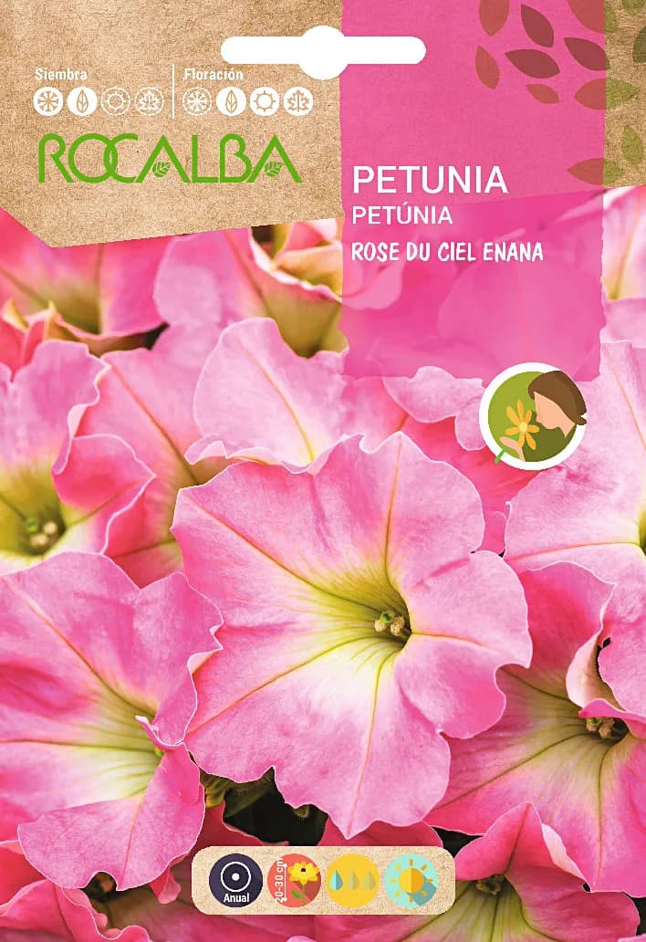 Semilla Petunia Rose Du Ciel Enana — foto principal