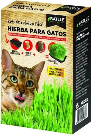 Kit Cultivo Mix Hierba para Gatos — foto principal