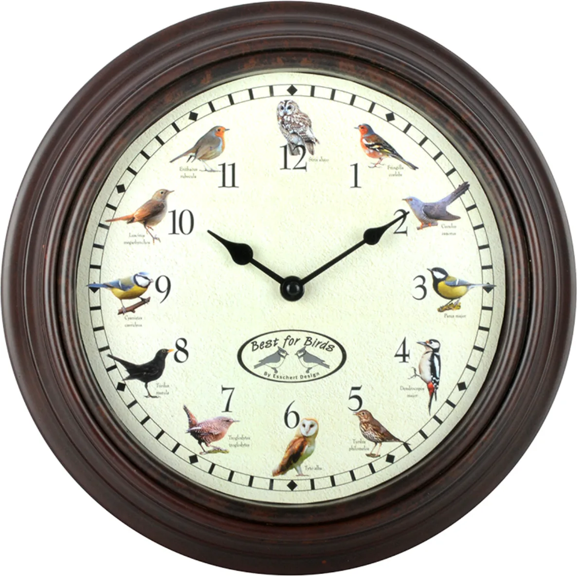 Reloj con Sonido de Pajaros — foto principal