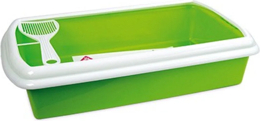 Gatera Persa con Pala Verde — foto principal