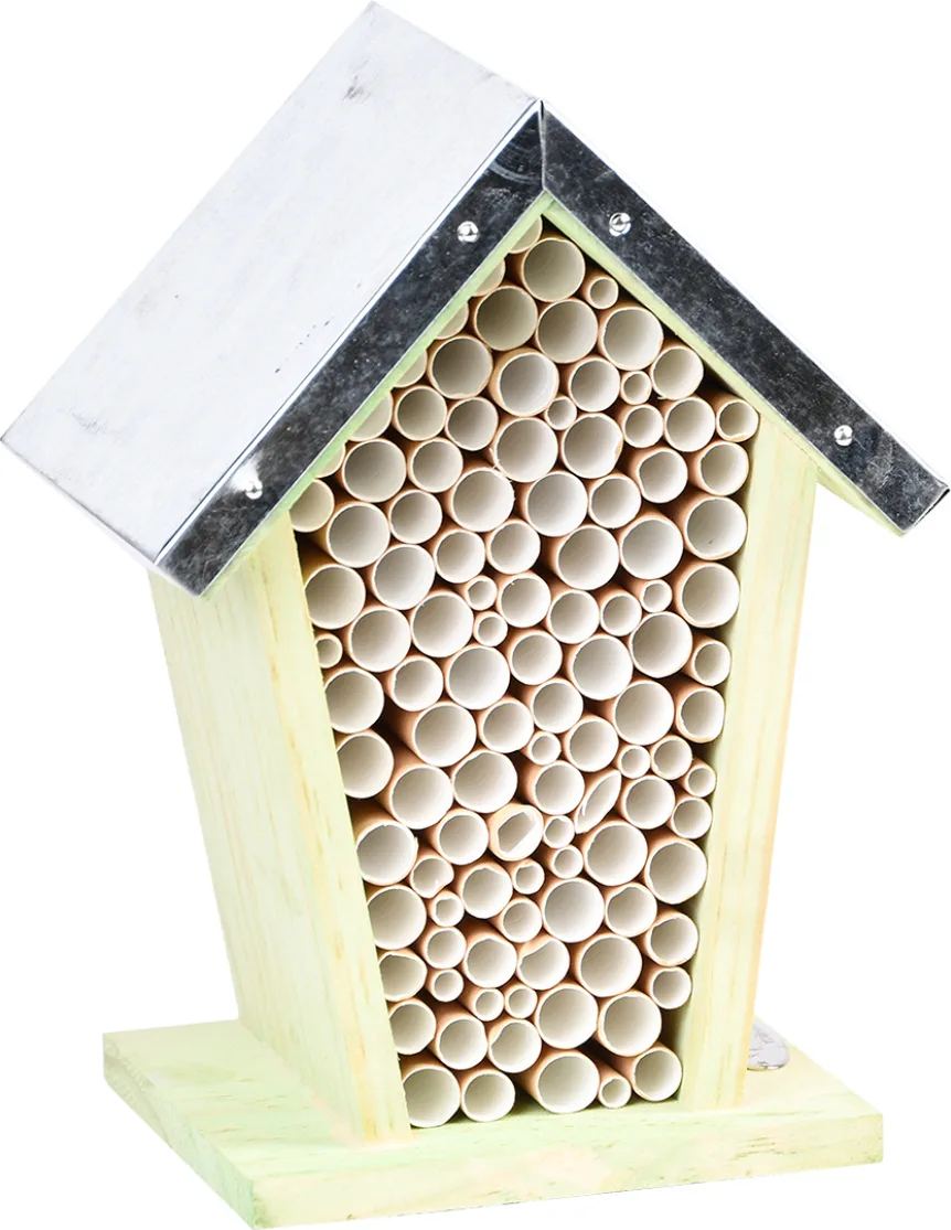 Casa Nido Abejas Celdas — foto principal