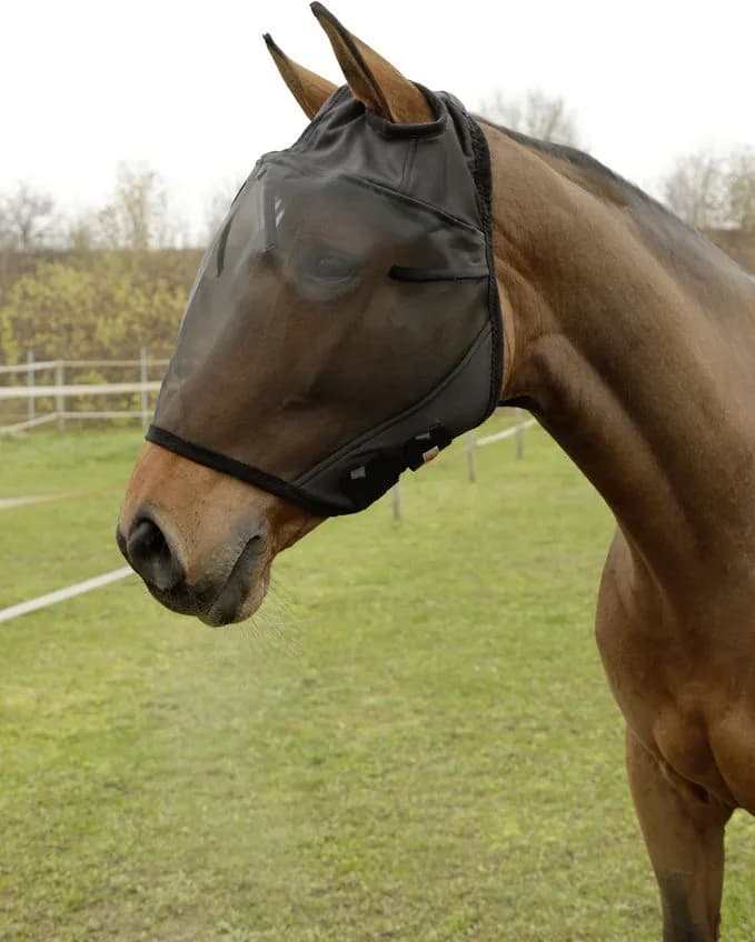Mascara antimoscas caballos con apertura orejas sin proteccion nariz — foto principal