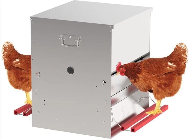 Comedero Automatico Gallinas Safeed — foto principal