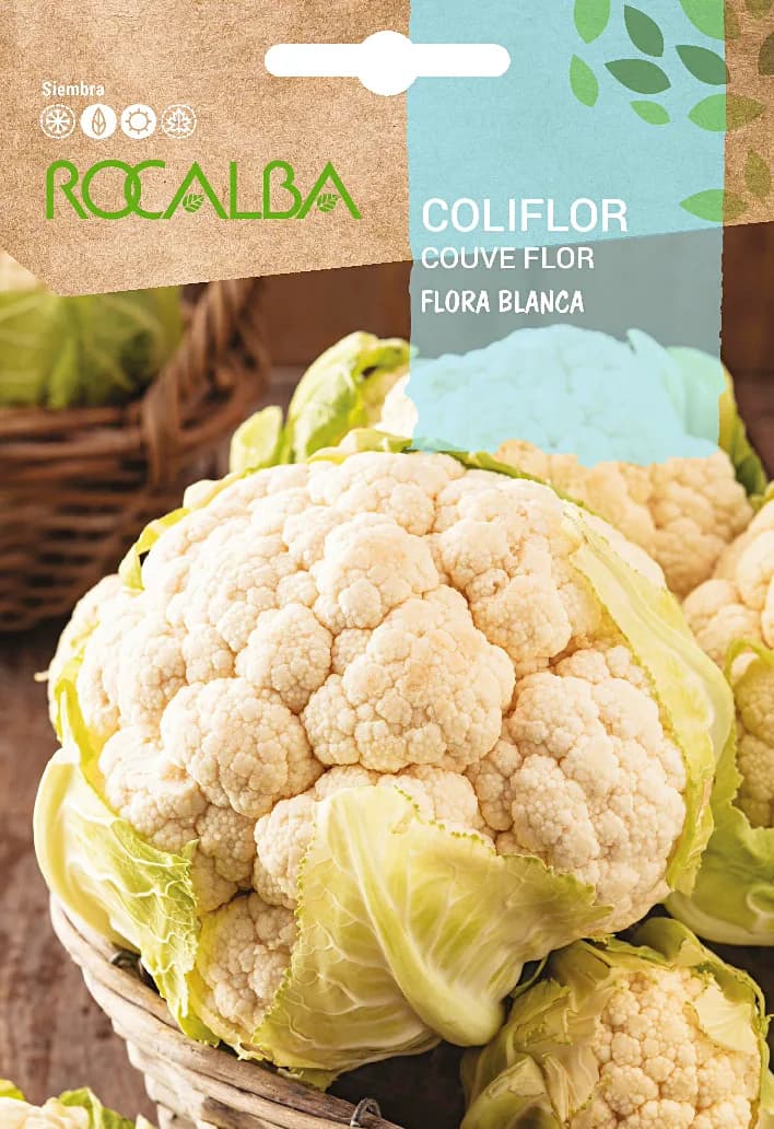 Semilla Coliflor Flora blanca — foto principal