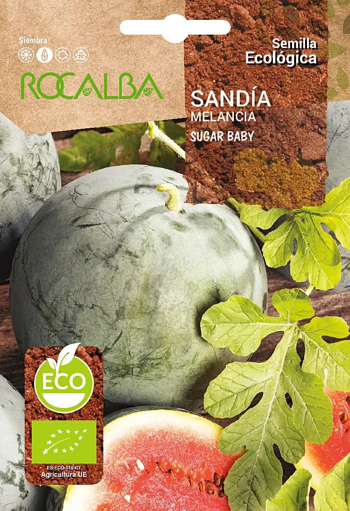 Semilla Ecologica Sandia Sugar Baby — foto principal