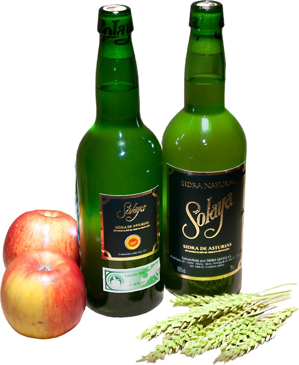 Sidra Solaya Caja 6 Botellas Denominacion de Origen — foto principal