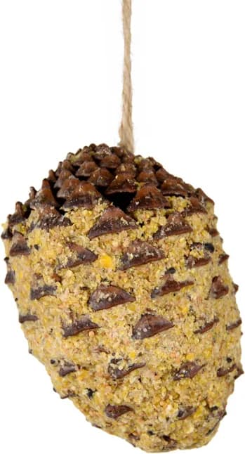 Cono de Pino Relleno — foto principal