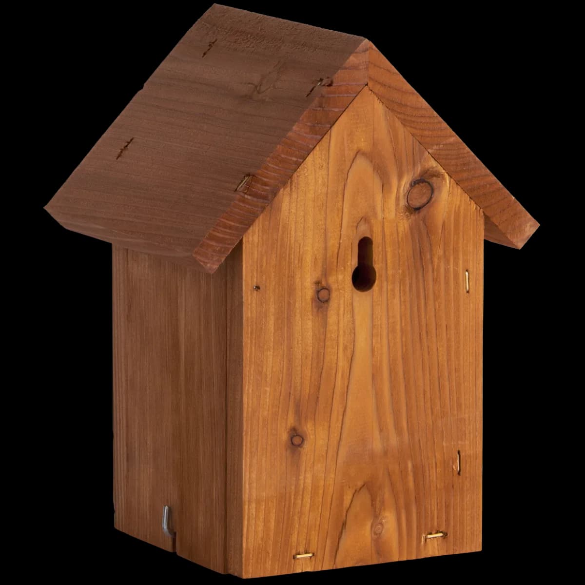 Caja Nido Pajaro Invierno Douglas — foto principal
