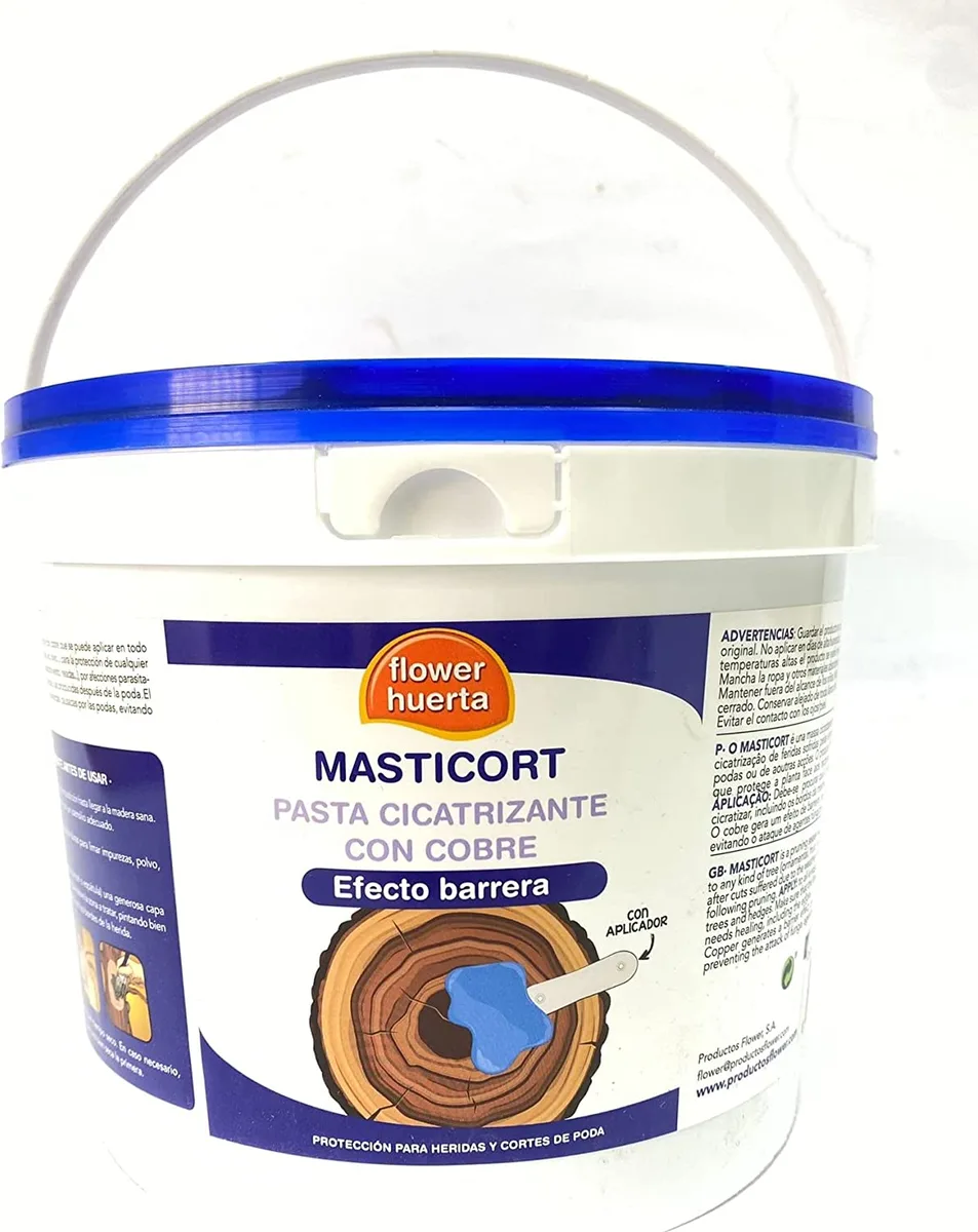 Pasta Cicatrizante Masticort con Cobre 5Kg — foto principal