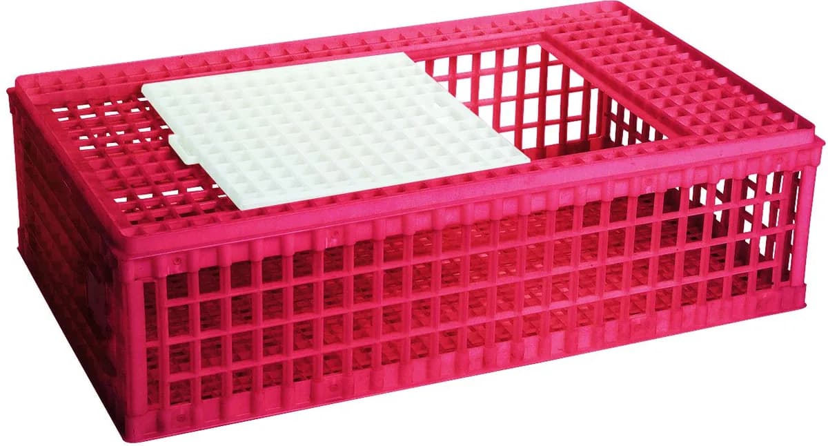 Jaula Plastico para Transporte Aves — foto principal