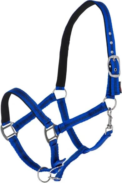 Cabezada Caballo Mustang Regulable Azul/Negro Talla Cob — foto principal