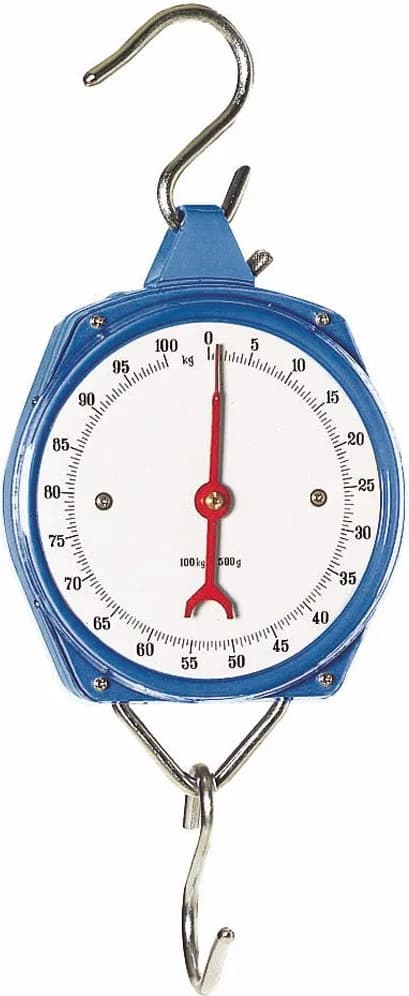 Bascula Reloj Kamer 100 Kg — foto principal