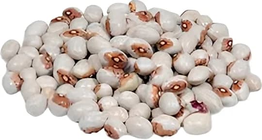 Faba Virgen 1Kg — foto principal