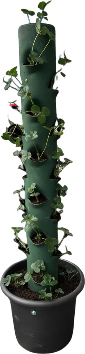 Tubo Macetero Vertical Vacio Artesanal — foto principal