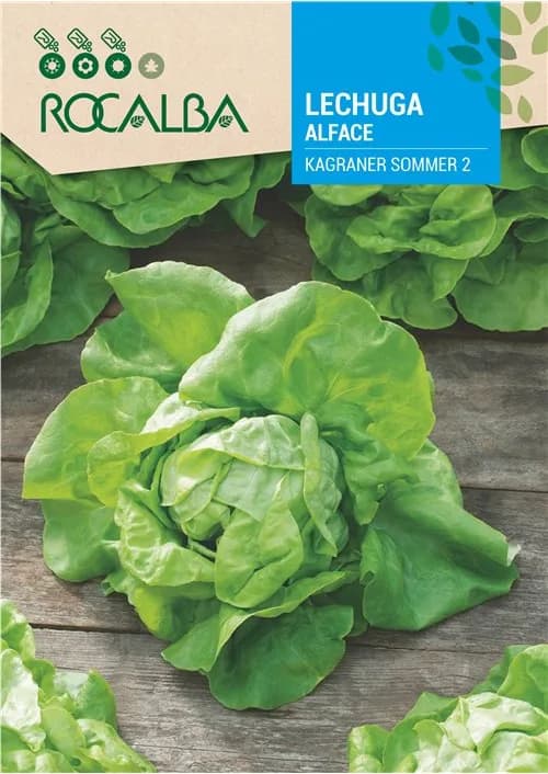Semilla Lechuga Kagraner Sommer 2 — foto principal