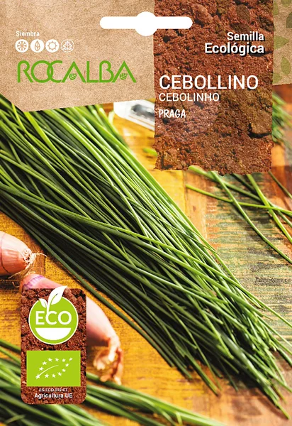 Semilla Ecologica Cebollino Praga