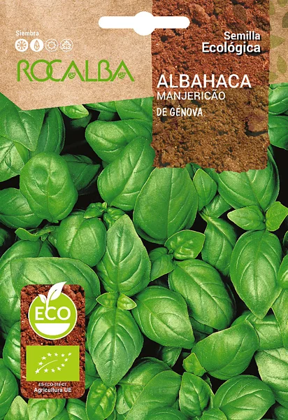 Semilla Ecologica Albahaca de Genova