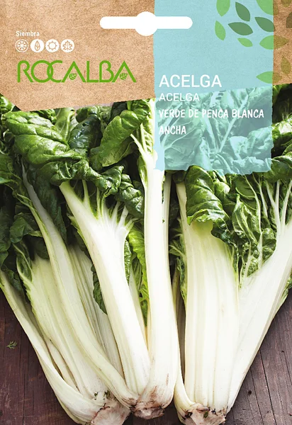 Semilla Acelga Verde Penca Blancha Ancha