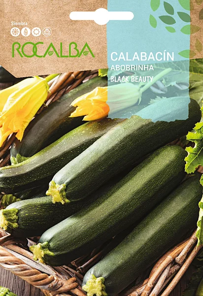 Semilla Calabacin Black Beauty (Negro Belleza)