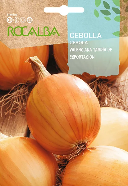 Semilla Cebolla Valenciana Tardia de Exportacion