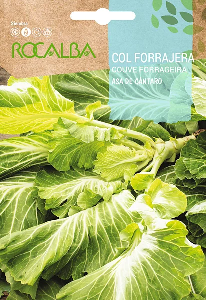 Semilla Col Forrajera Asa de Cantaro