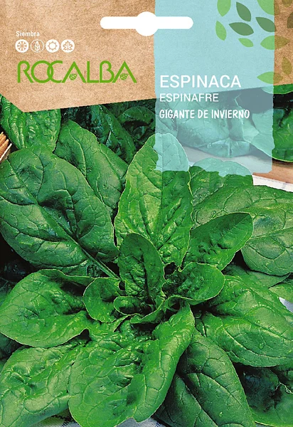 Semilla Espinaca Gigante de Invierno