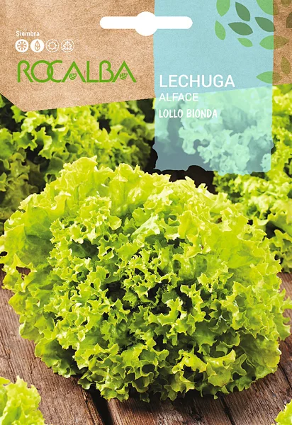 Semilla Lechuga Crispa Lollo Bionda