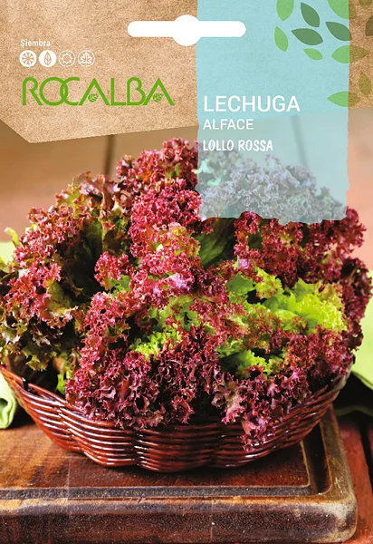 Semilla Lechuga Crispa Lollo Rossa