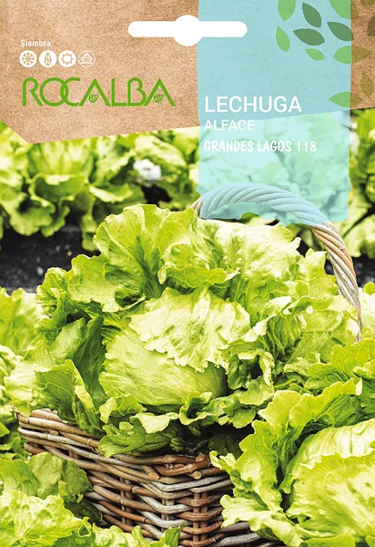Semilla Lechuga Grandes Lagos 118