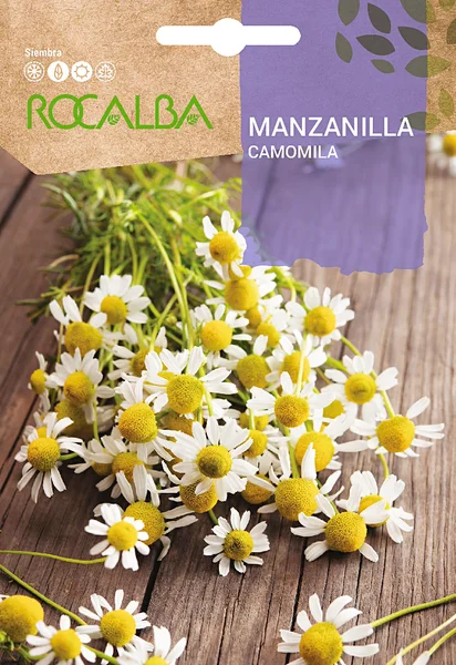 Semilla Manzanilla