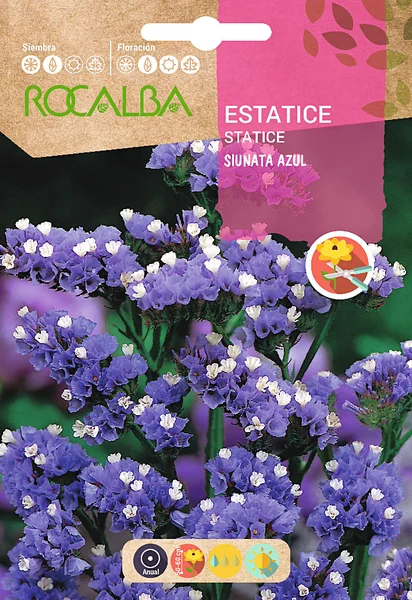 Semilla Estatice Sinata Azul