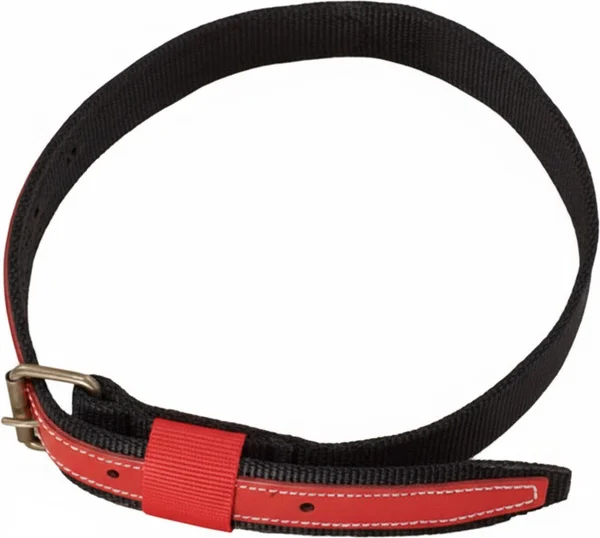 Collar Serraje/cinta Anilla Corrediza 1