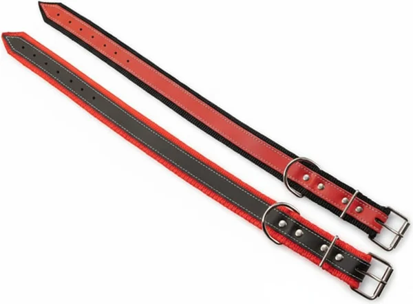 Collar Cinta Nylon Serraje 40 x 2 cm.