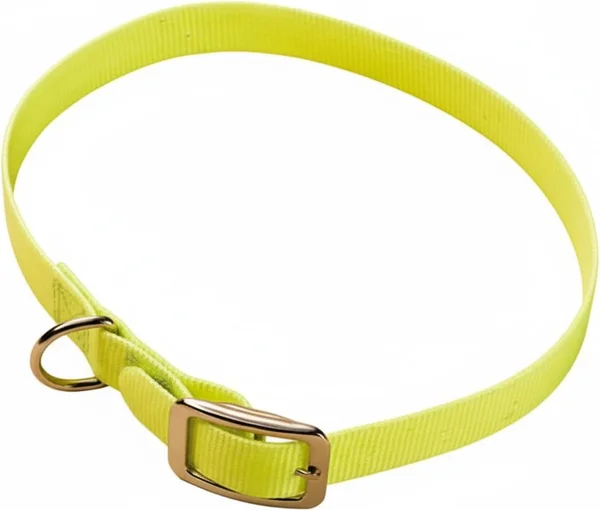 Collar Cinta Nylon Plastificada 65 x 2.5cm