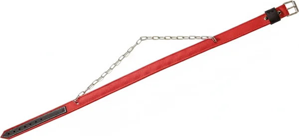 Collar Ganado Doble cadena Interior Antirrobo 115 x 4 cm