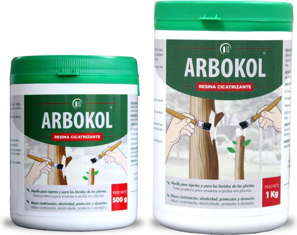 Arbokol Resina Pasta Cicatrizante 1 kg